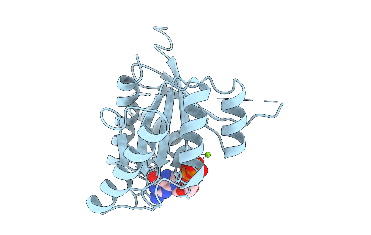 1ETU image