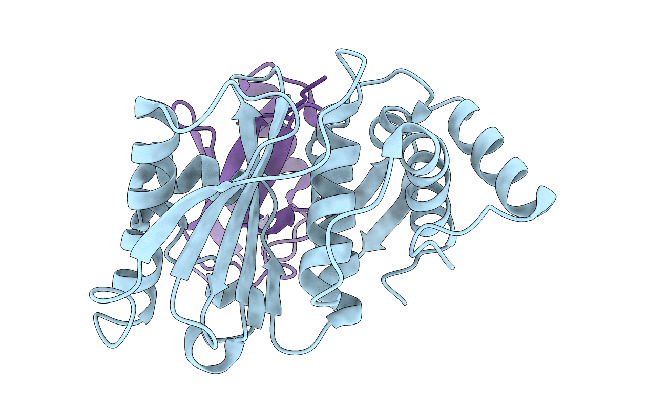 1EUV image
