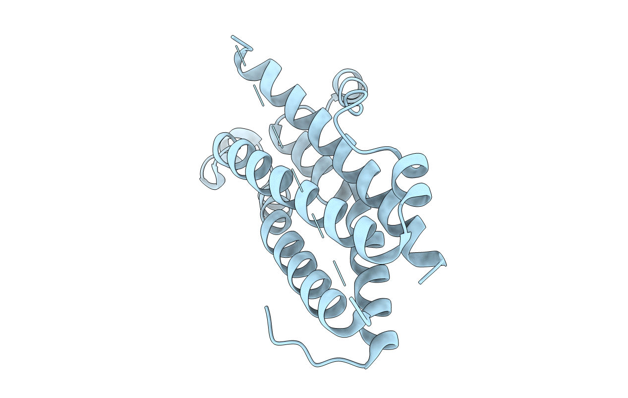 1EVS image
