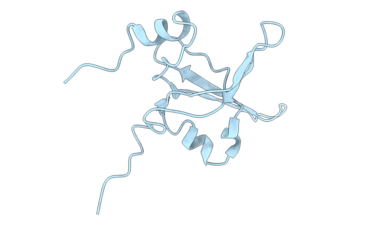 1EWI image