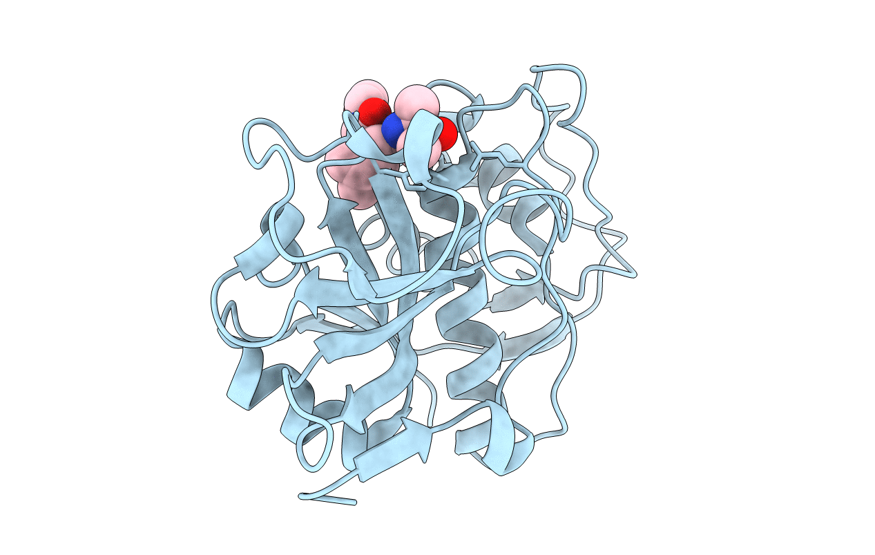 1ewp image