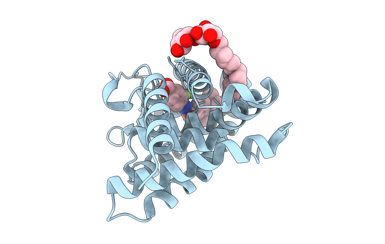 1EXA image