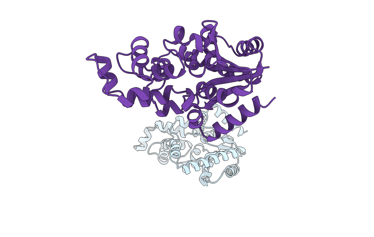 1EXN image