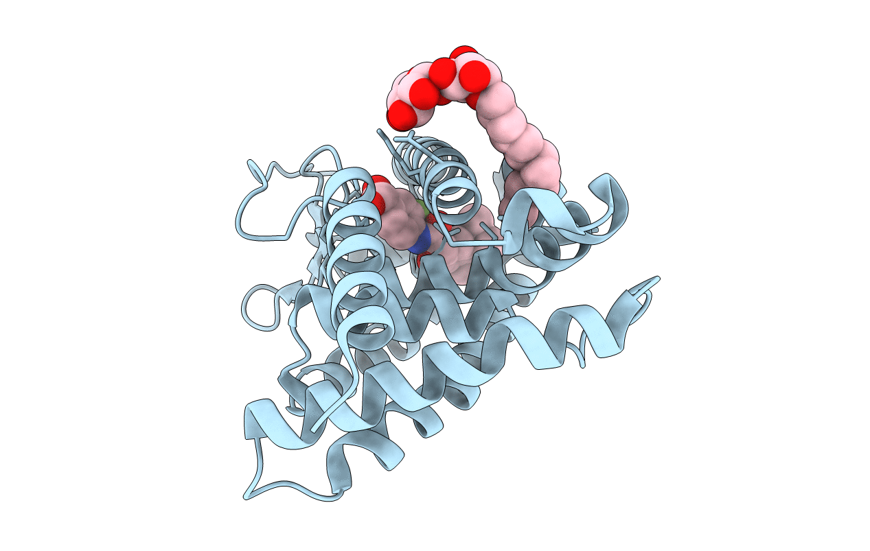 1EXX image