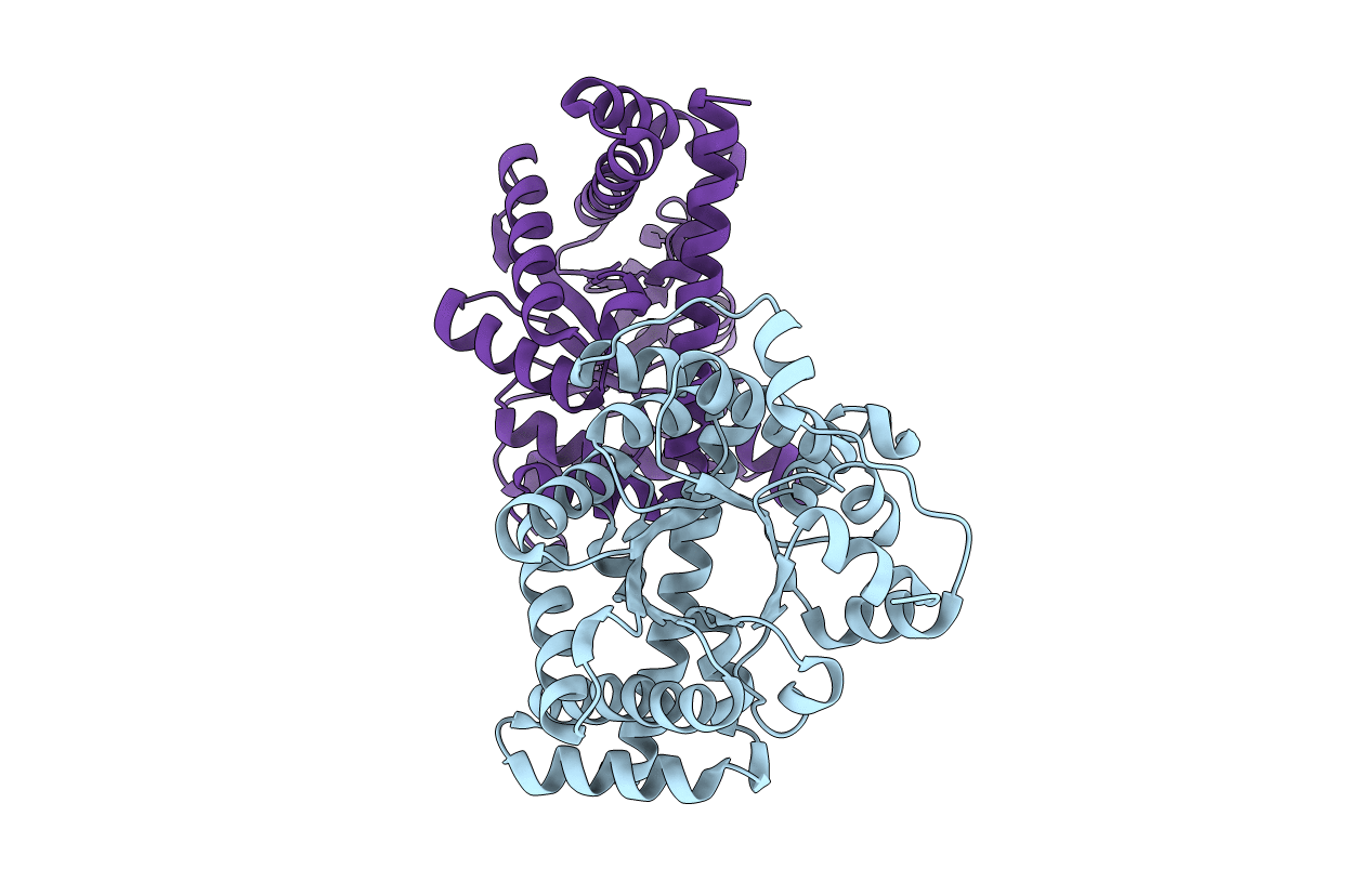 1F05 image