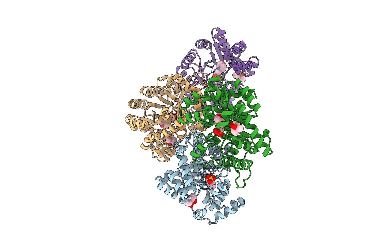 1F07 image