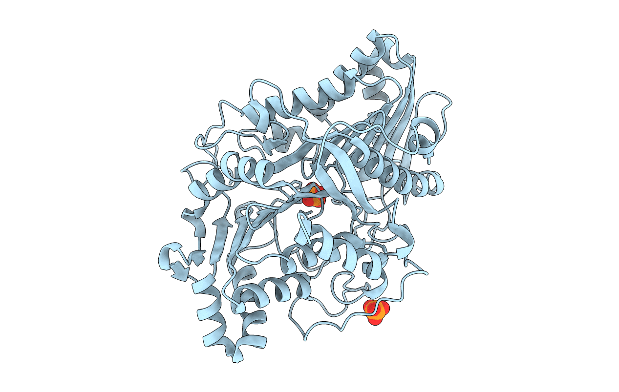 1F0I image