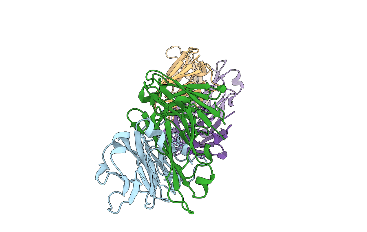 1F11 image