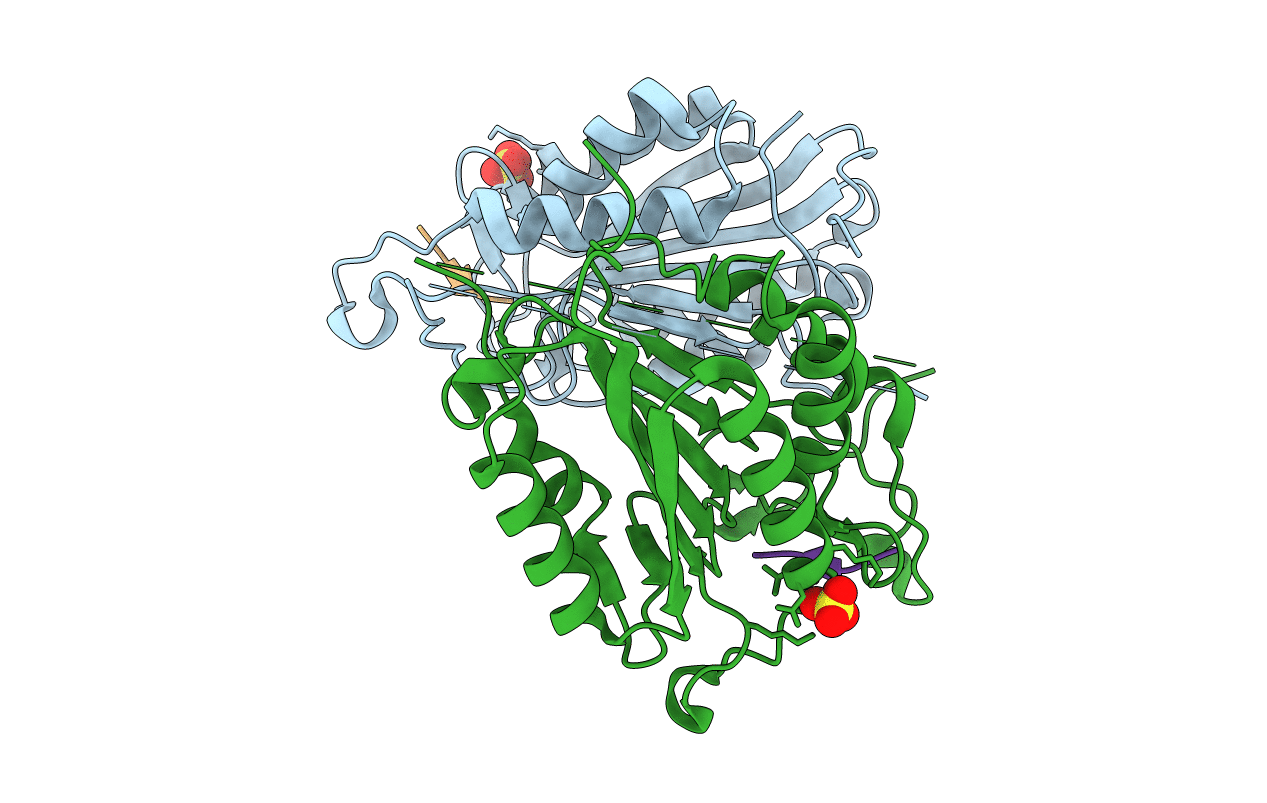 1F1J image