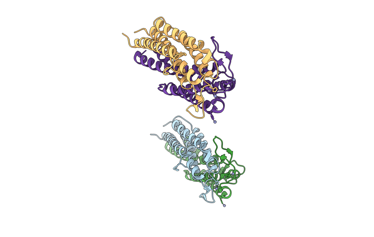 1F1M image