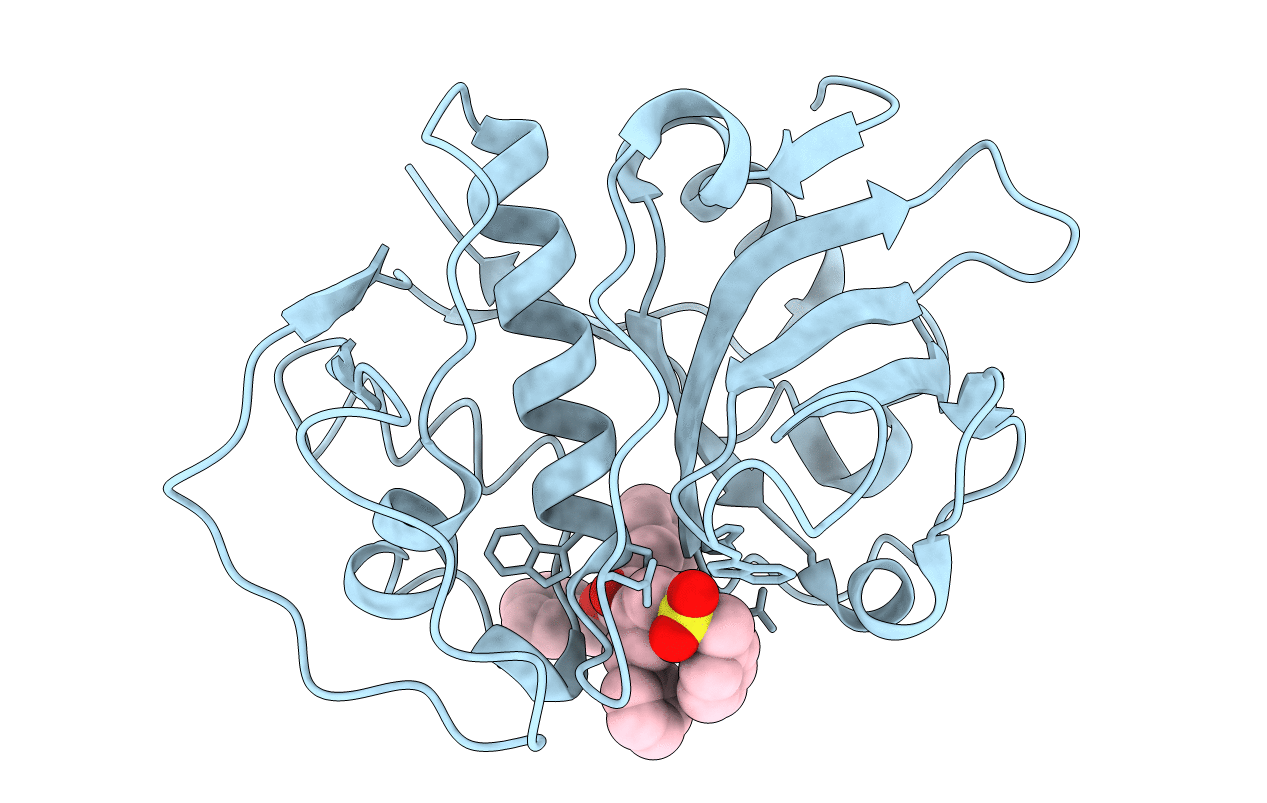 1F2A image