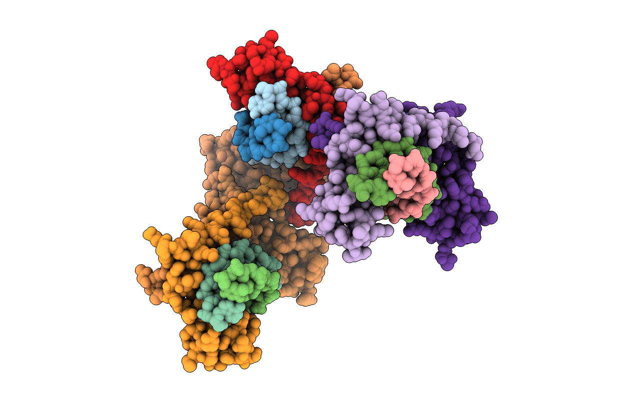 1F2I image