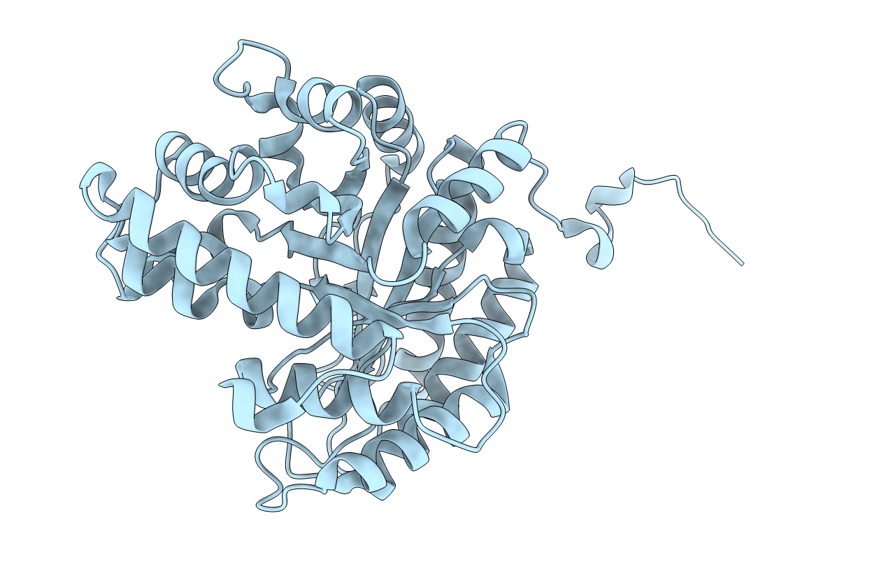 1F2J image
