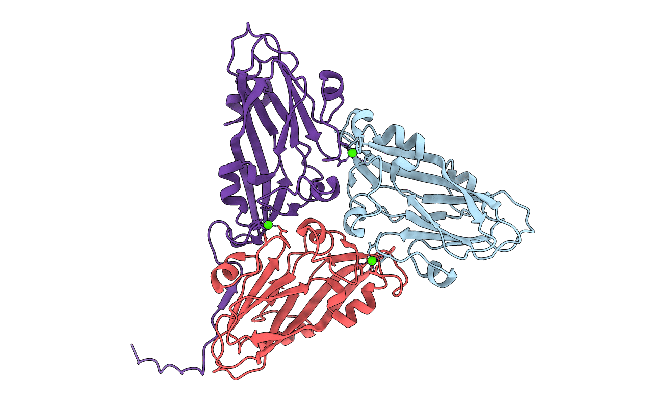 1F2N image