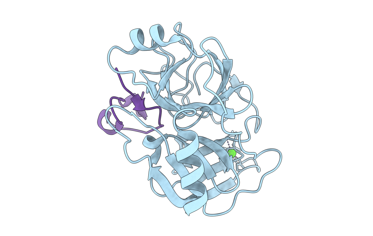1F2S image