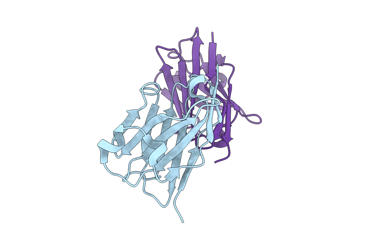1f2x image