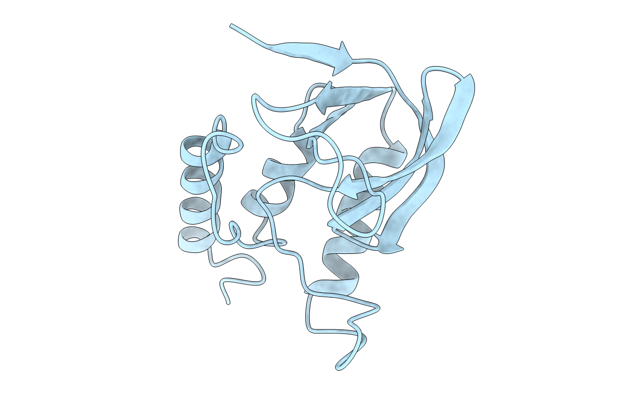 1F2Y image