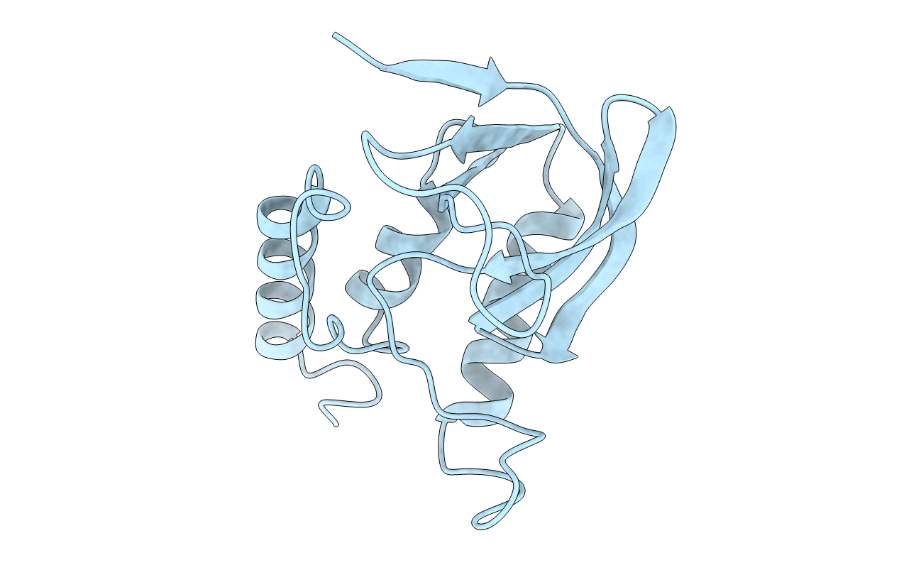 1f2z image