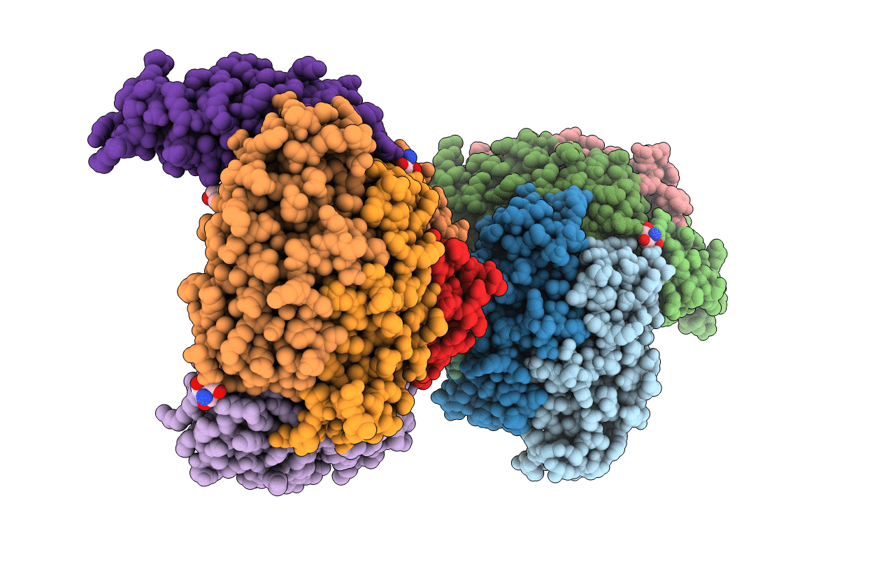 1F30 image