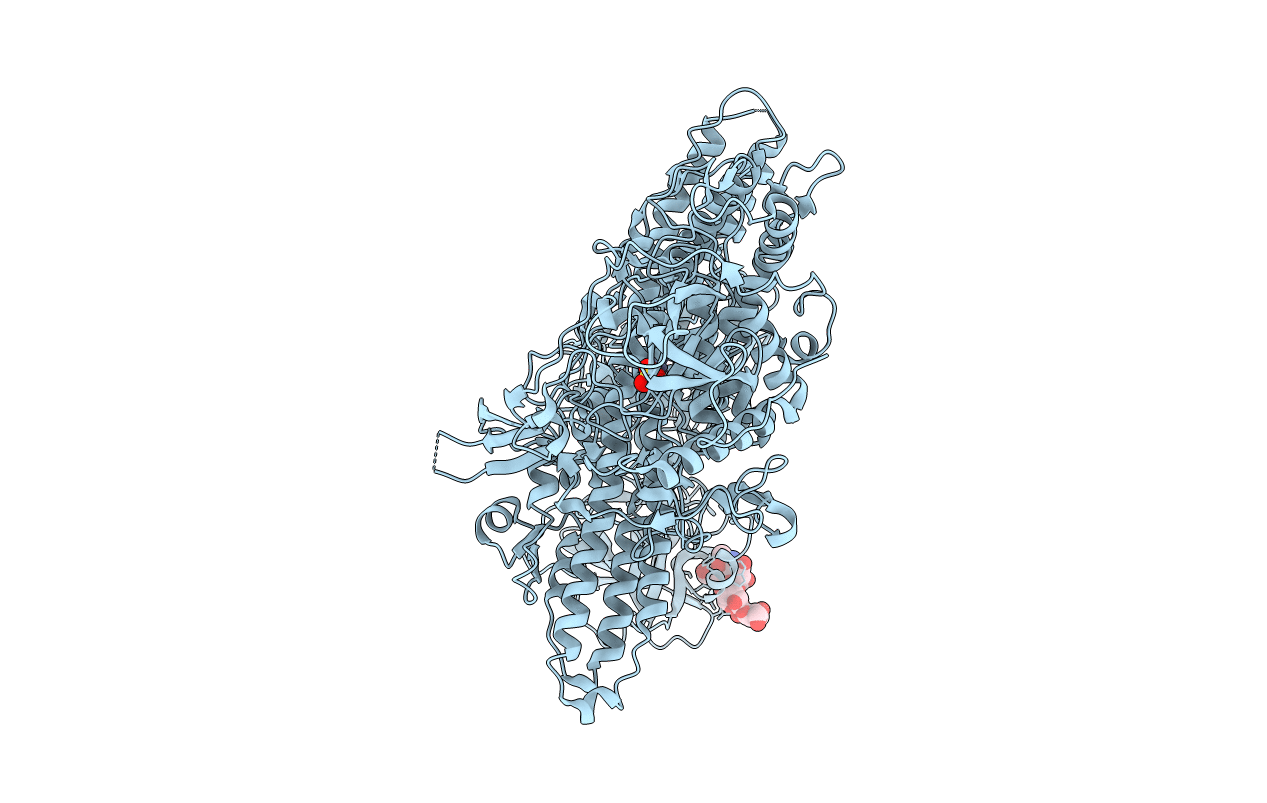 1f31 image