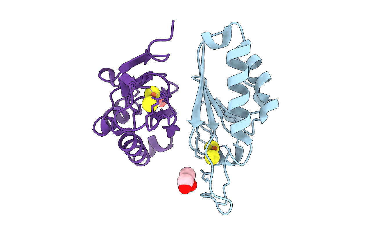 1F37 image