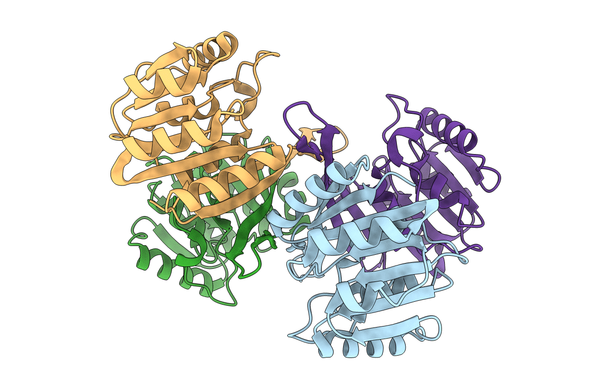 1F38 image