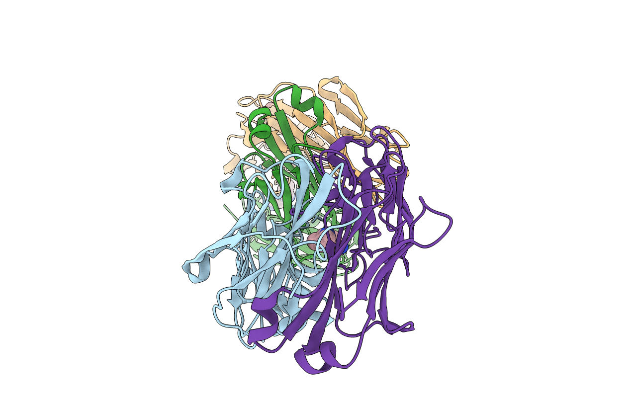 1F3D image