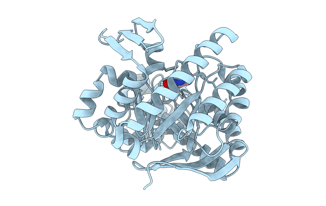 1F3E image