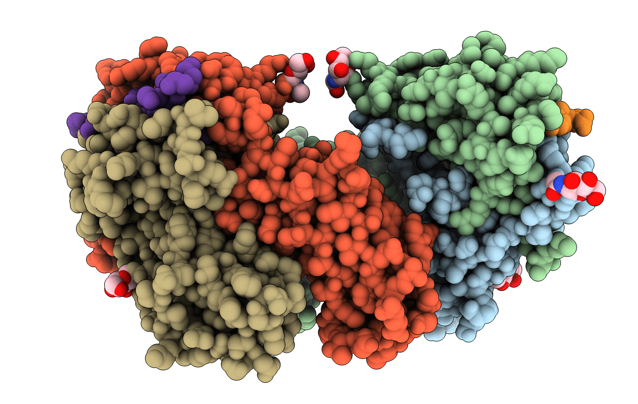 1F3J image