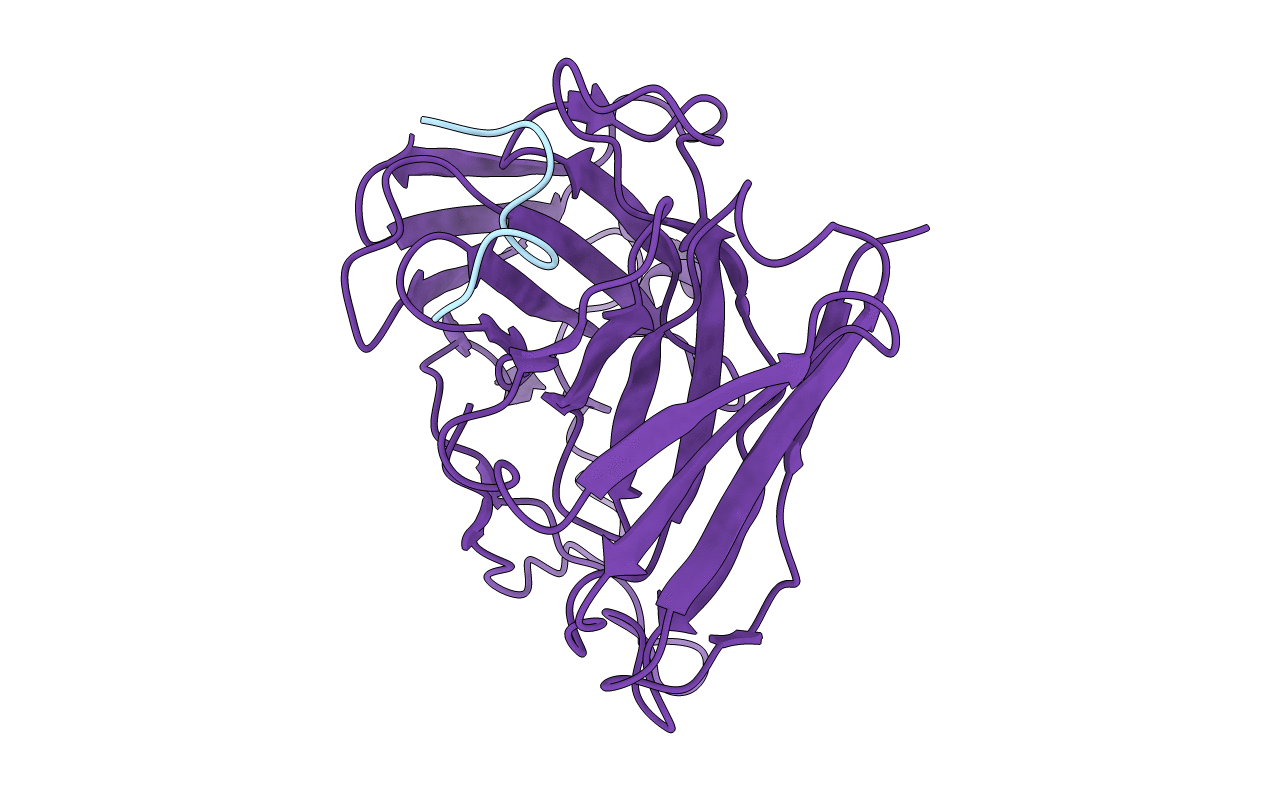 1F3R image