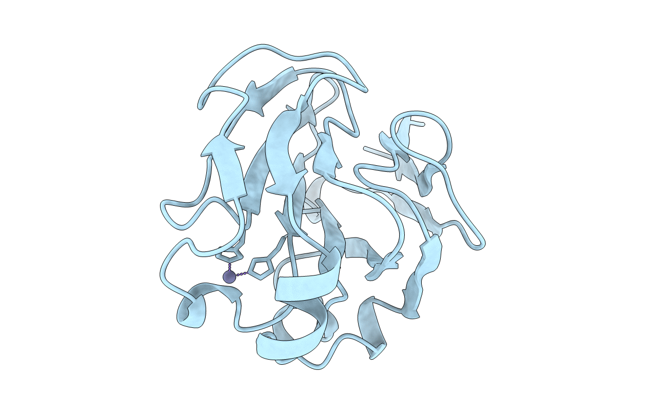 1F3Z image