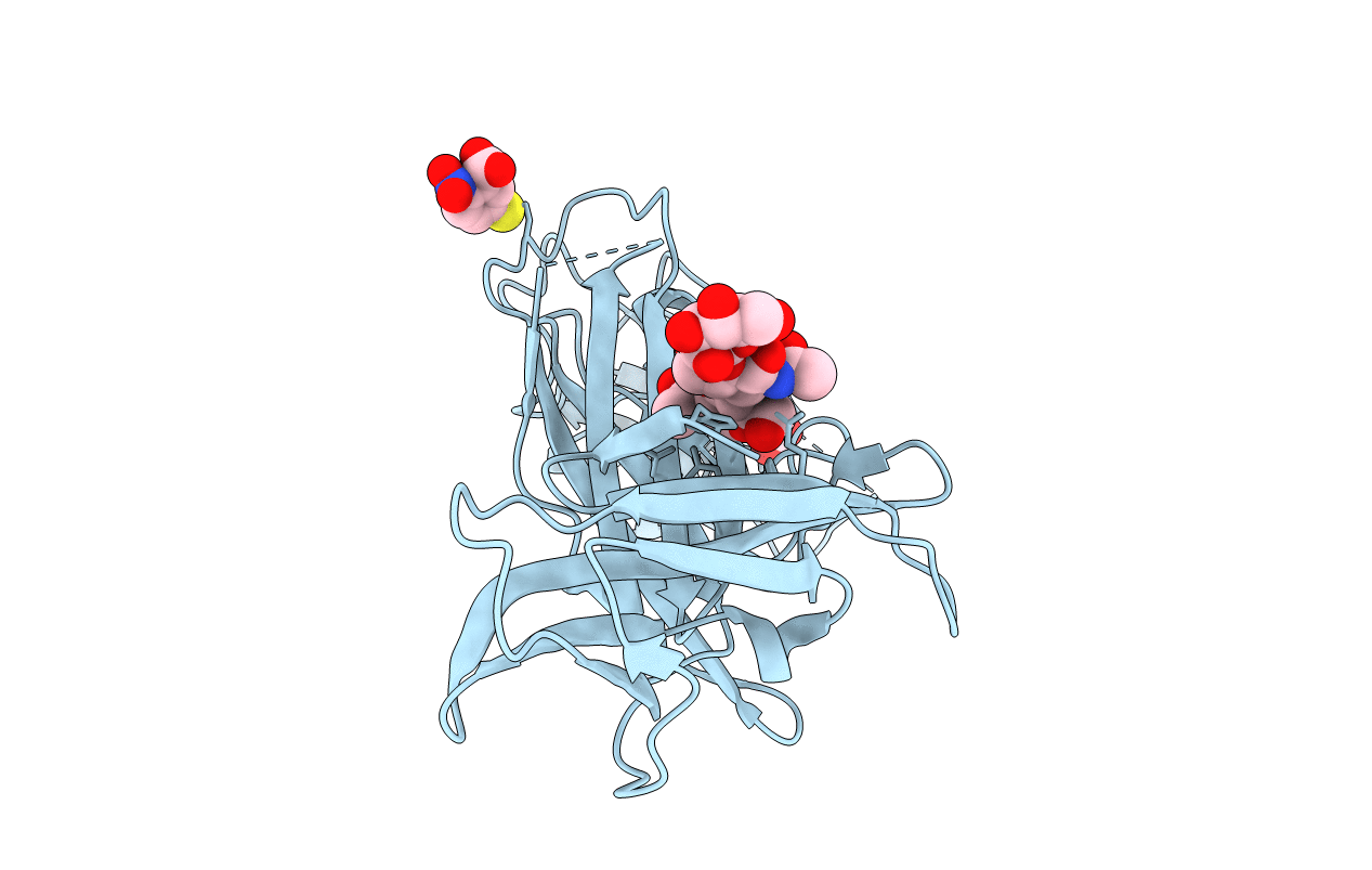 1F42 image