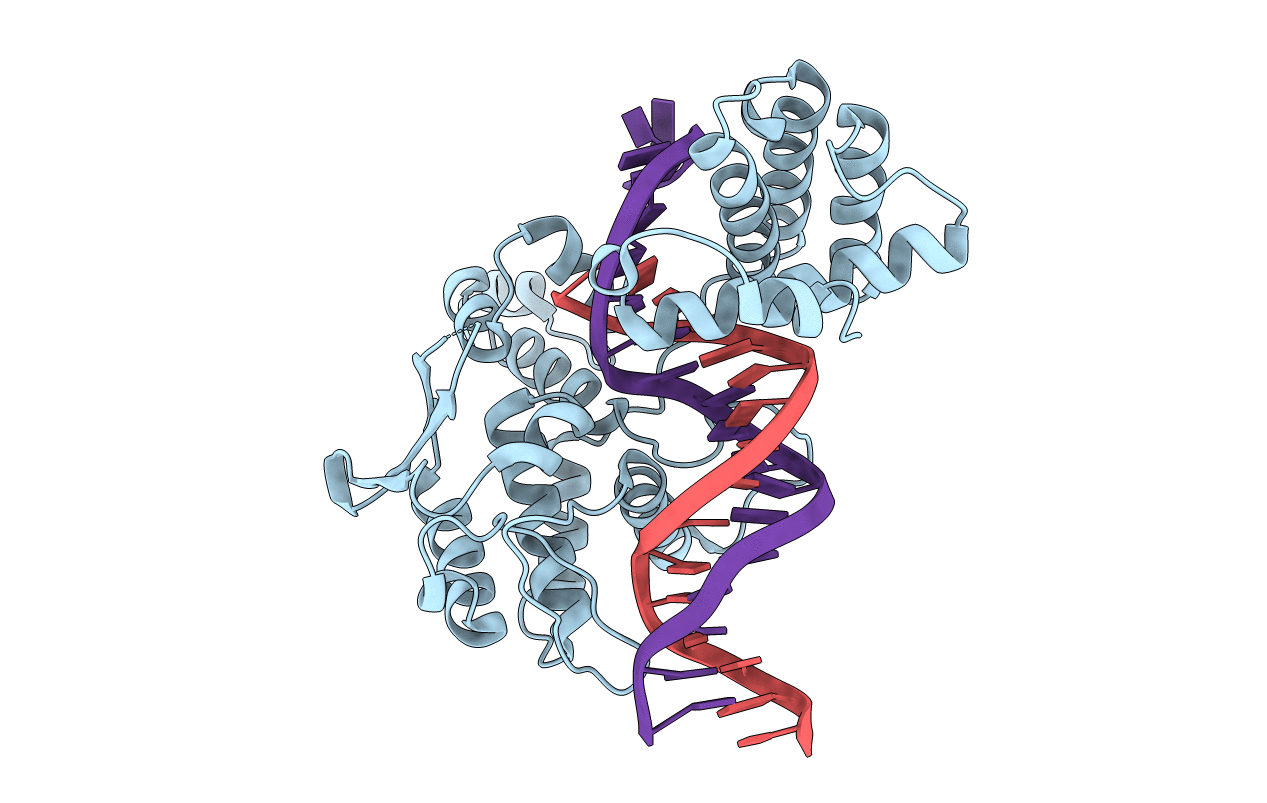 1F44 image
