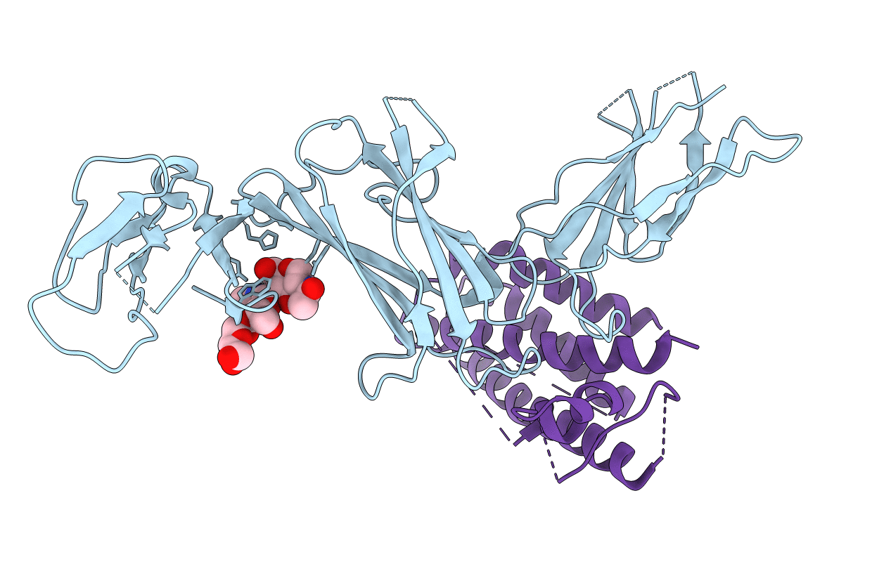 1F45 image