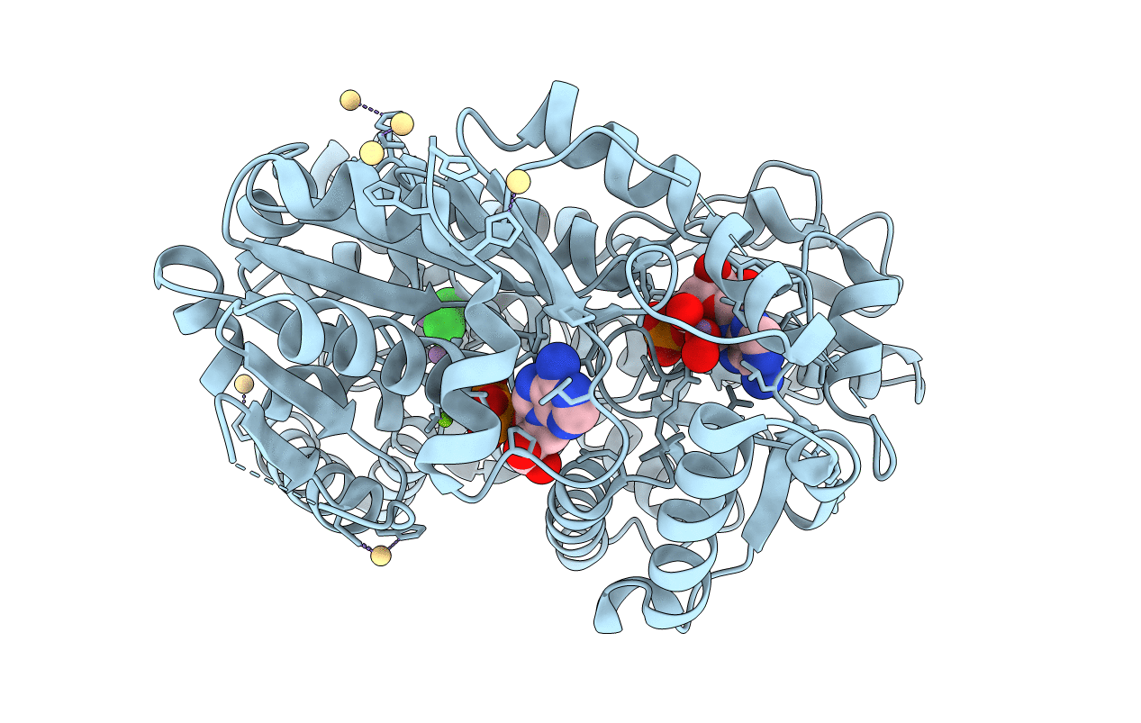 1F48 image
