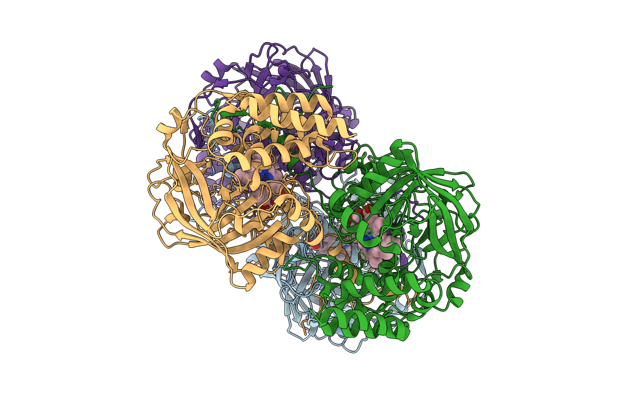 1F4J image