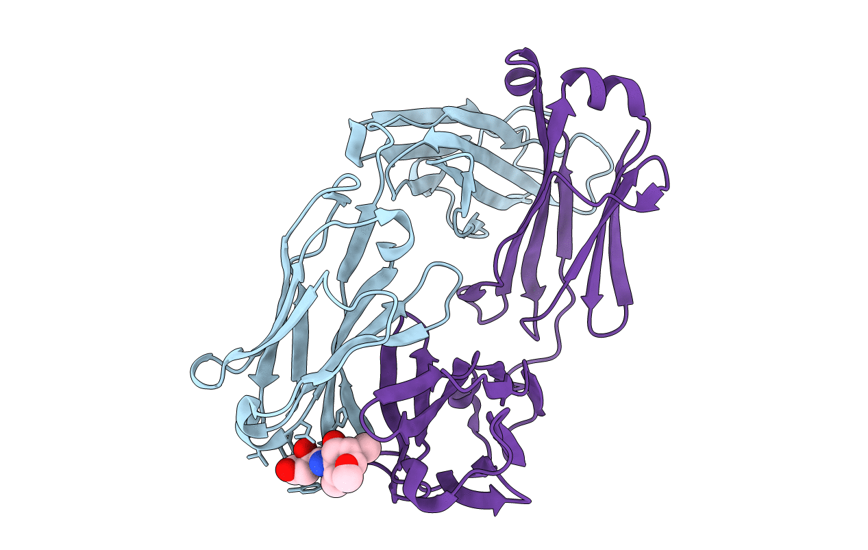 1F4X image