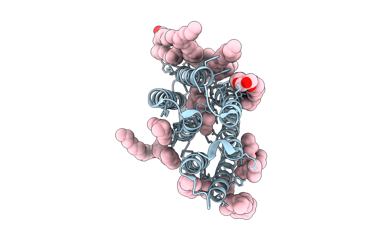 1F4Z image