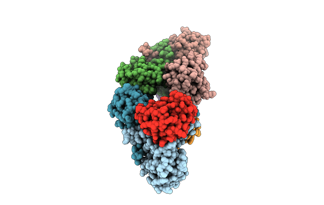 1F51 image
