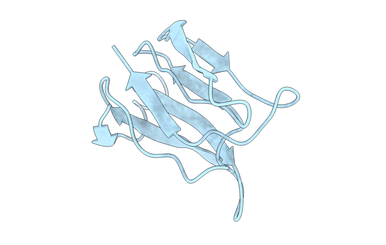 1F53 image