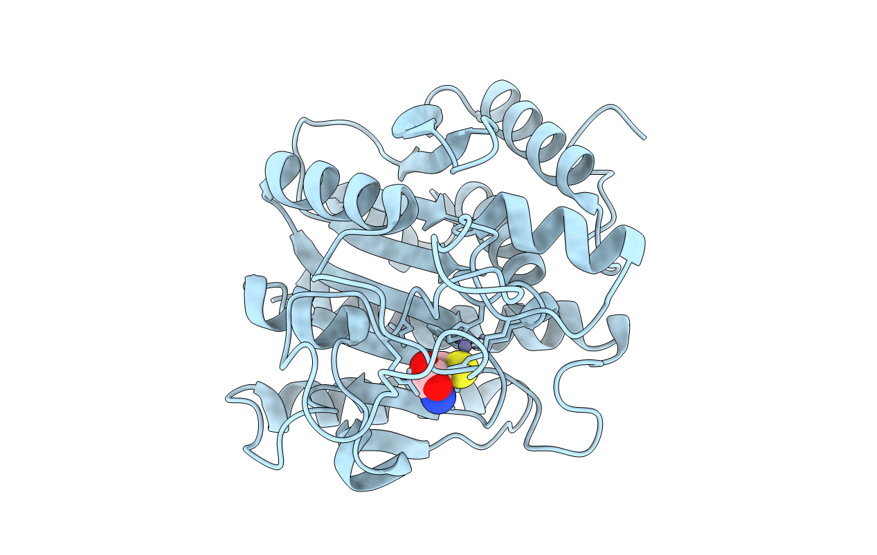 1F57 image