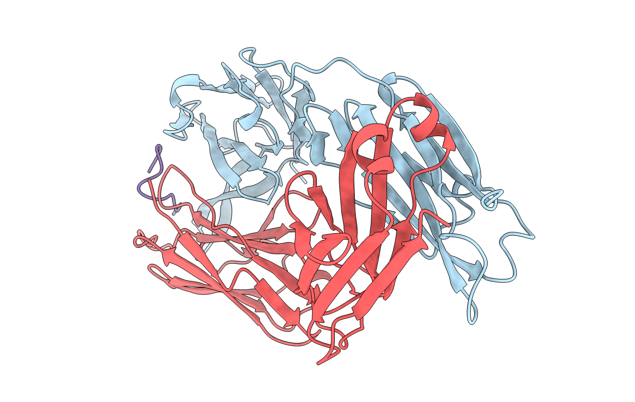1F58 image