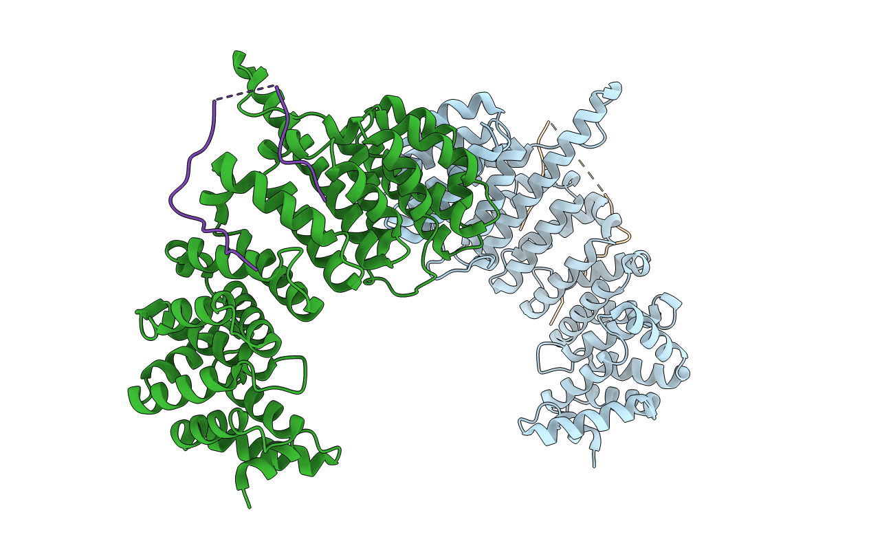 1F59 image