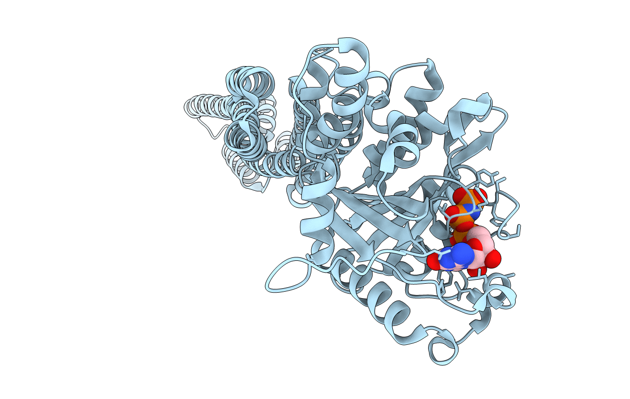 1F5N image