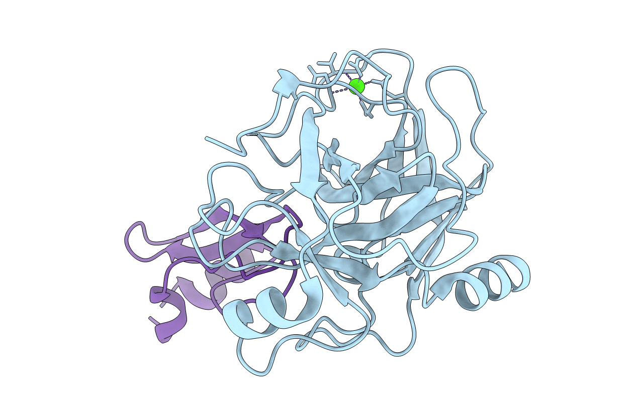 1F5R image