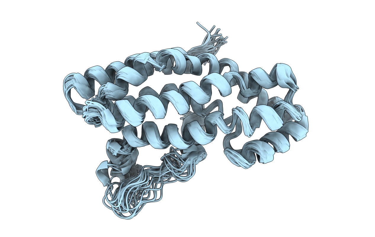 1F5X image