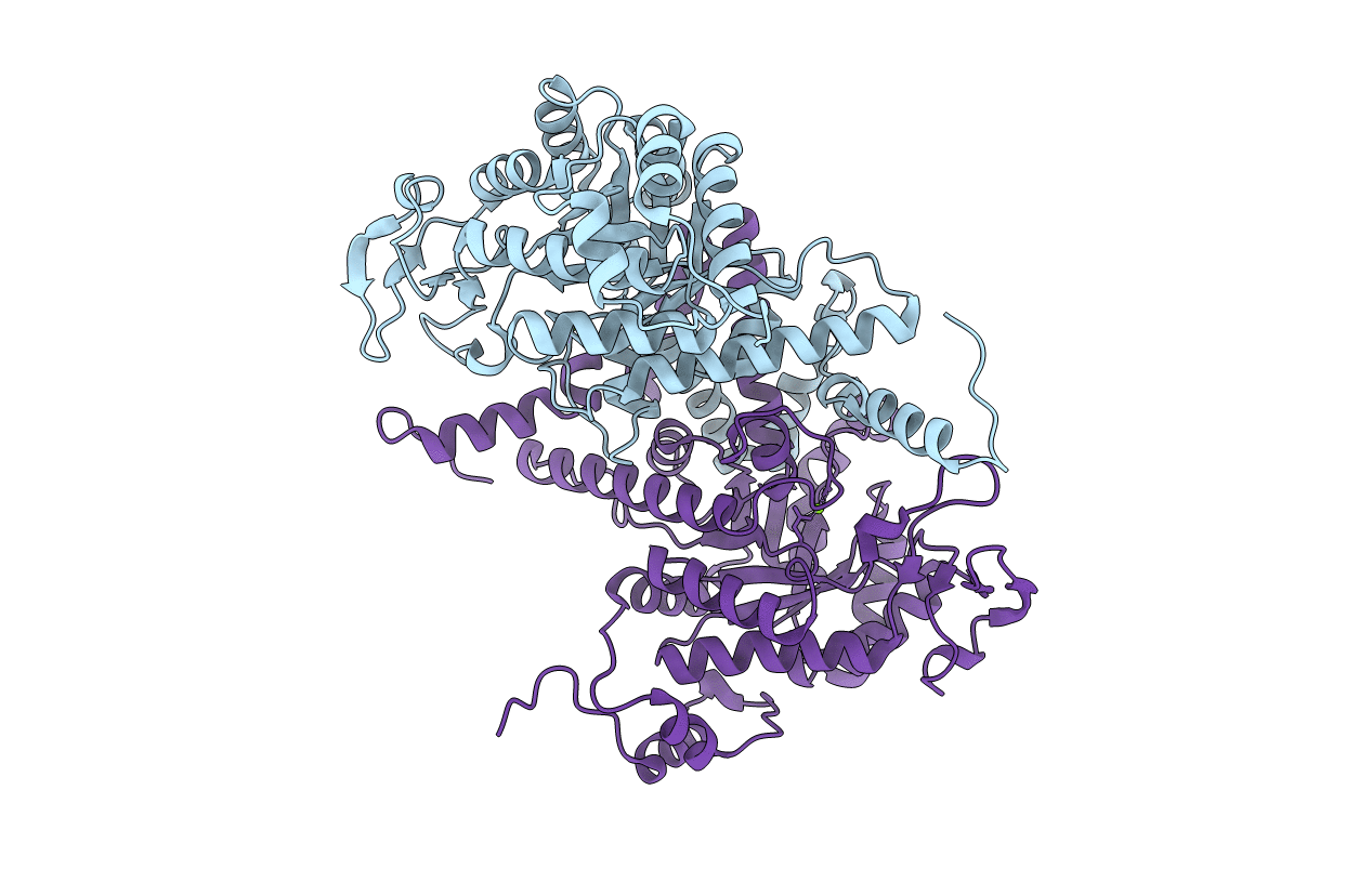 1F61 image