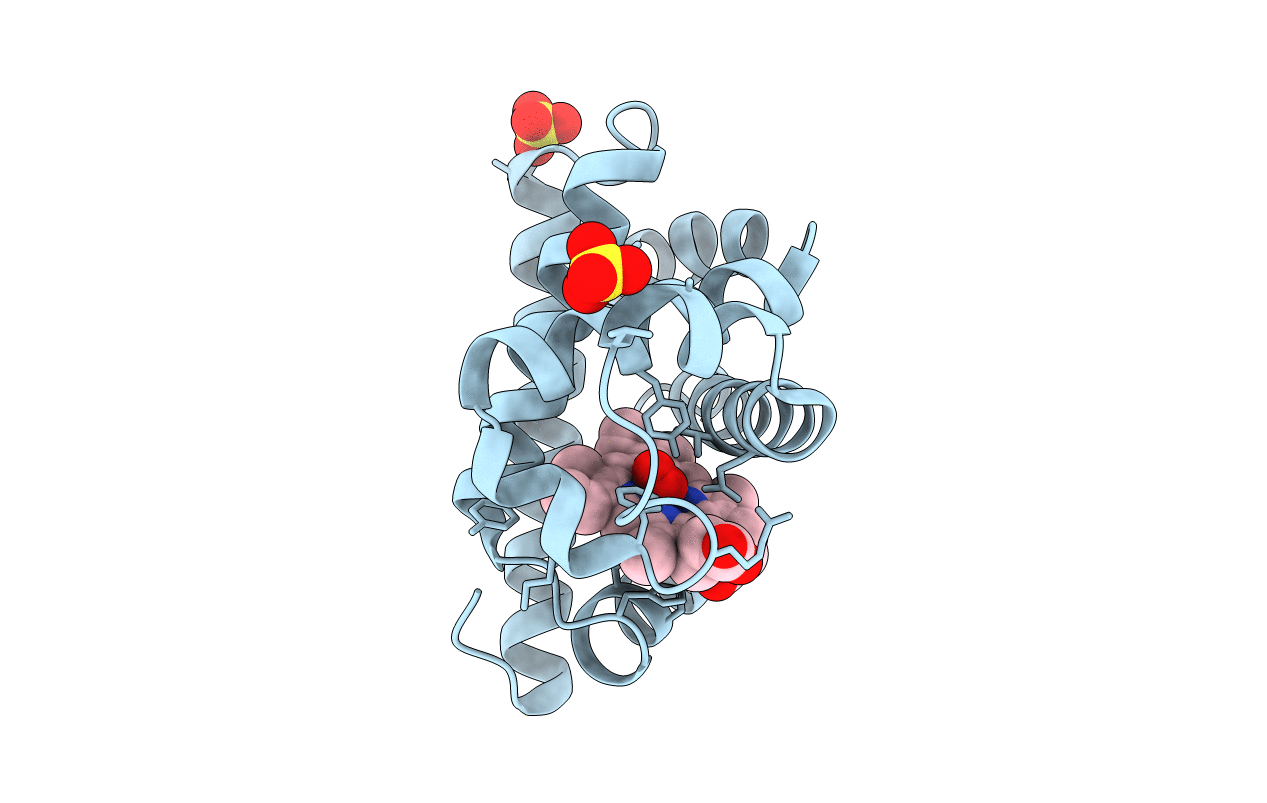 1F65 image