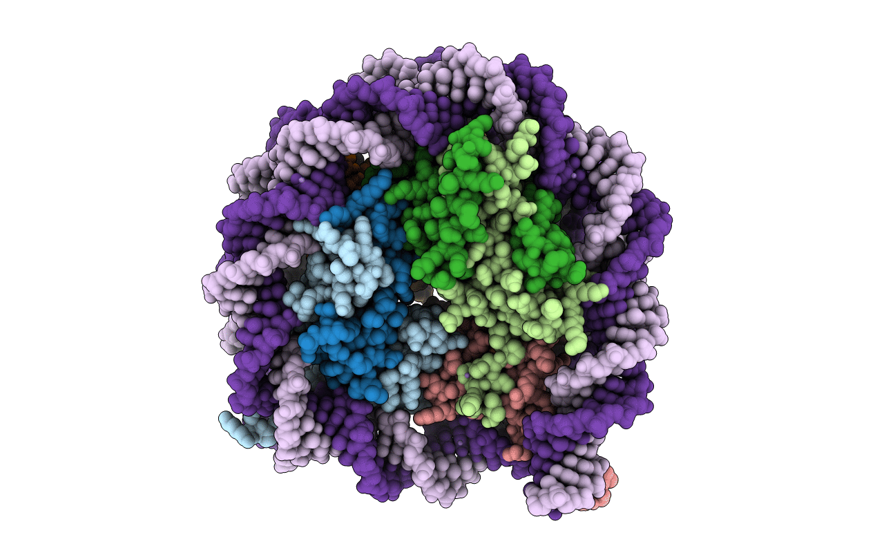 1F66 image