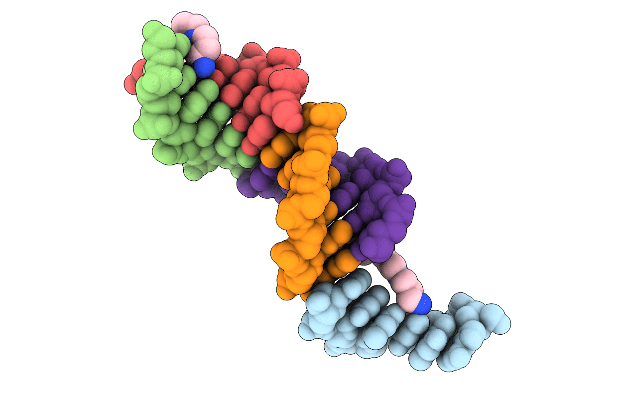 1F6C image